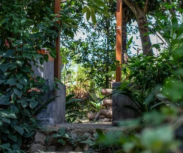 Mangoforest Bali * Panji