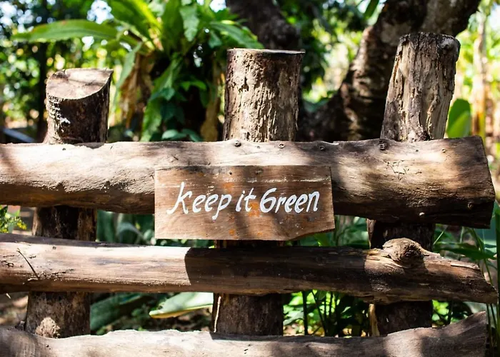 Mangoforest Bali *
